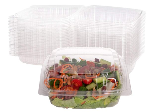 Clear Rectangular Hinged Lid Container